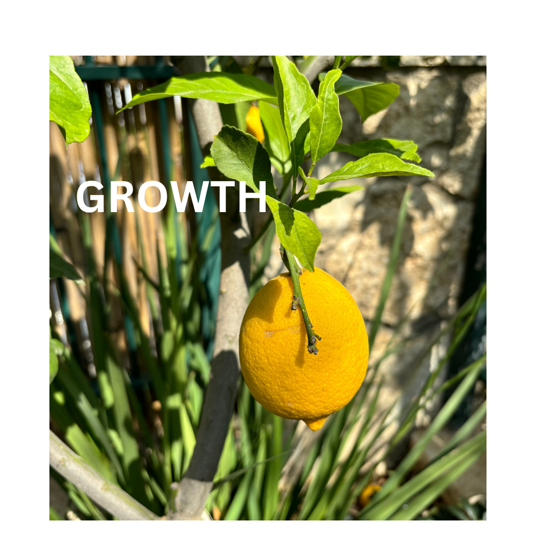 GROWTH